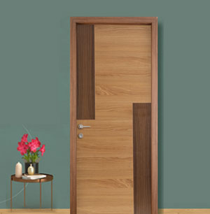 Veneer Skin Moduled Doors